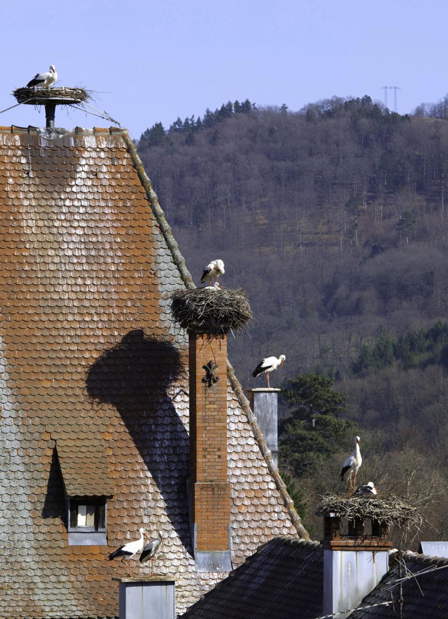 Hotel Deybach Munster  Exterior foto